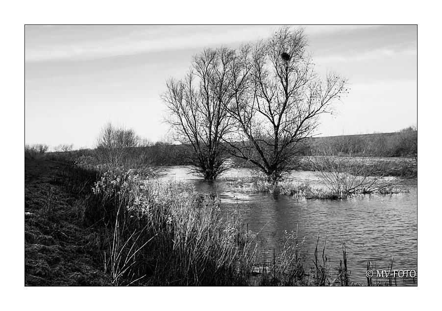 Hochwasser an der Lippe