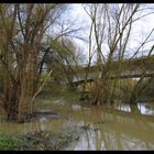 Hochwasser an der Lippe