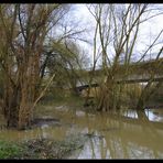 Hochwasser an der Lippe