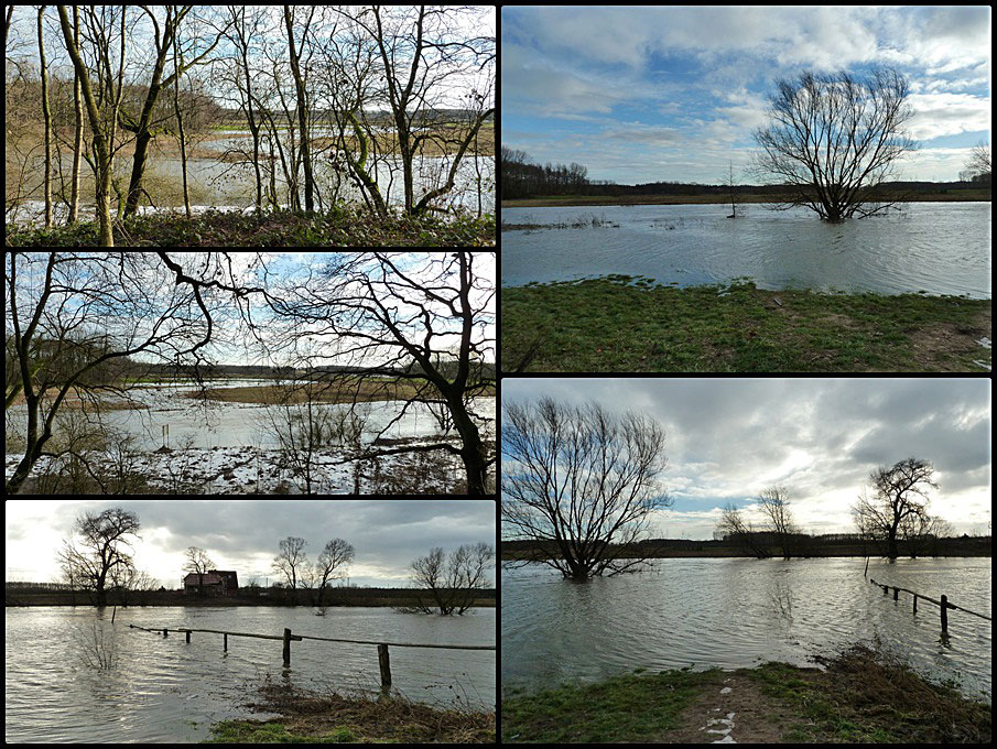 Hochwasser an der Lippe in Eversum