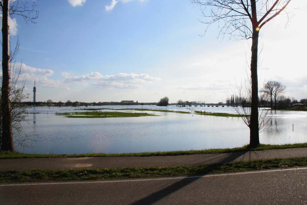 Hochwasser an der Maas bei Roermond am 23 März 2008