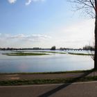 Hochwasser an der Maas bei Roermond am 23 März 2008