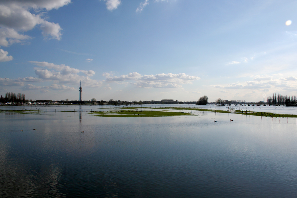 Hochwasser an der Maas bei Roermond am 23 März 2008 2