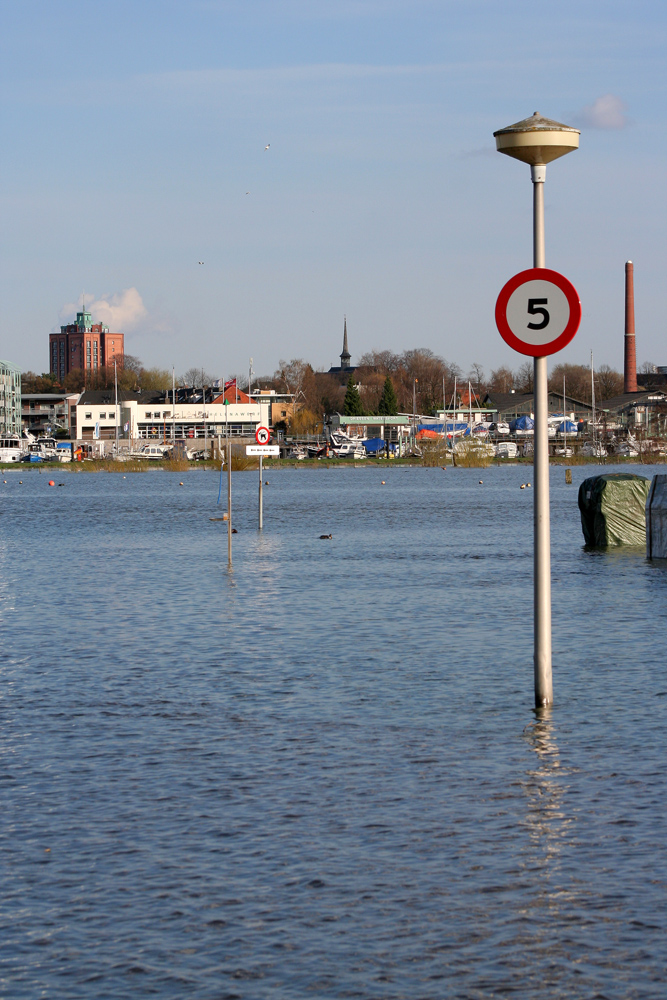 Hochwasser an der Maas bei Roermond am 23 März 2008 5