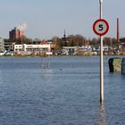 Hochwasser an der Maas bei Roermond am 23 März 2008 5