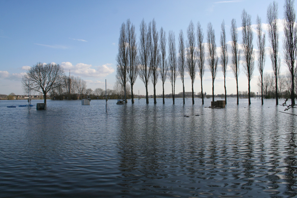 Hochwasser an der Maas bei Roermond am 23 März 2008 6