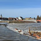 Hochwasser an der Mulde