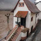 Hochwasser an der Nahe 2011 - Fischerhaus in Bad Münster 14:30