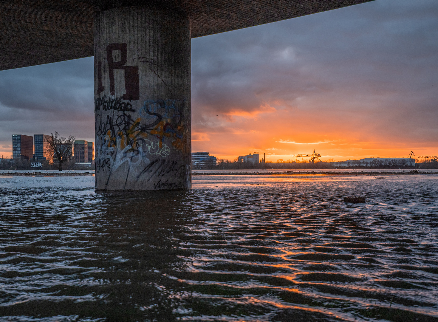 Hochwasser an der Rheinkniebrücke in Düsseldorf