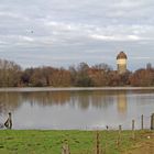 Hochwasser an der Roos