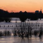 Hochwasser an der Ruhr