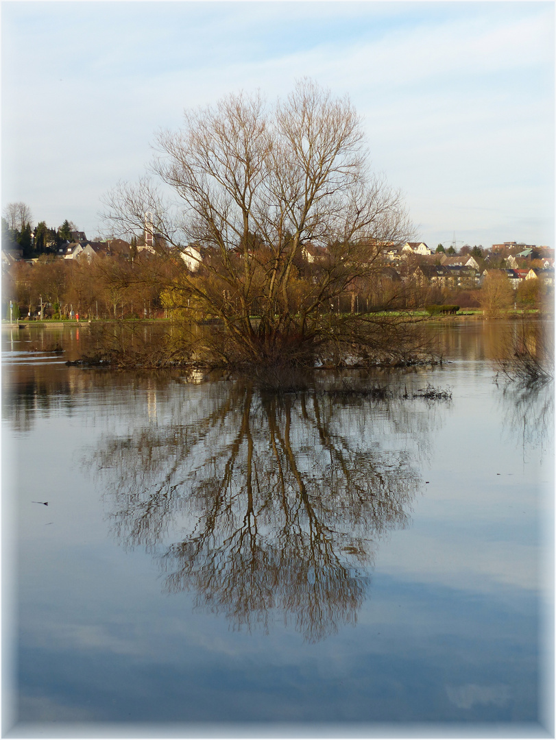 Hochwasser an der Ruhr