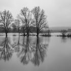 Hochwasser an der Ruhr