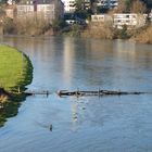 Hochwasser an der Ruhr