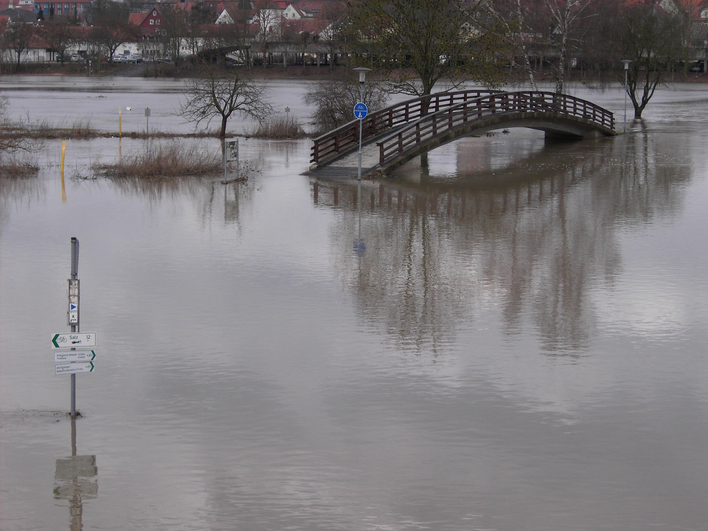 Hochwasser an der Saale (Bad Neustadt )