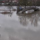 Hochwasser an der Saale (Bad Neustadt )