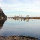 Hochwasser an der Schwarzen- Elster