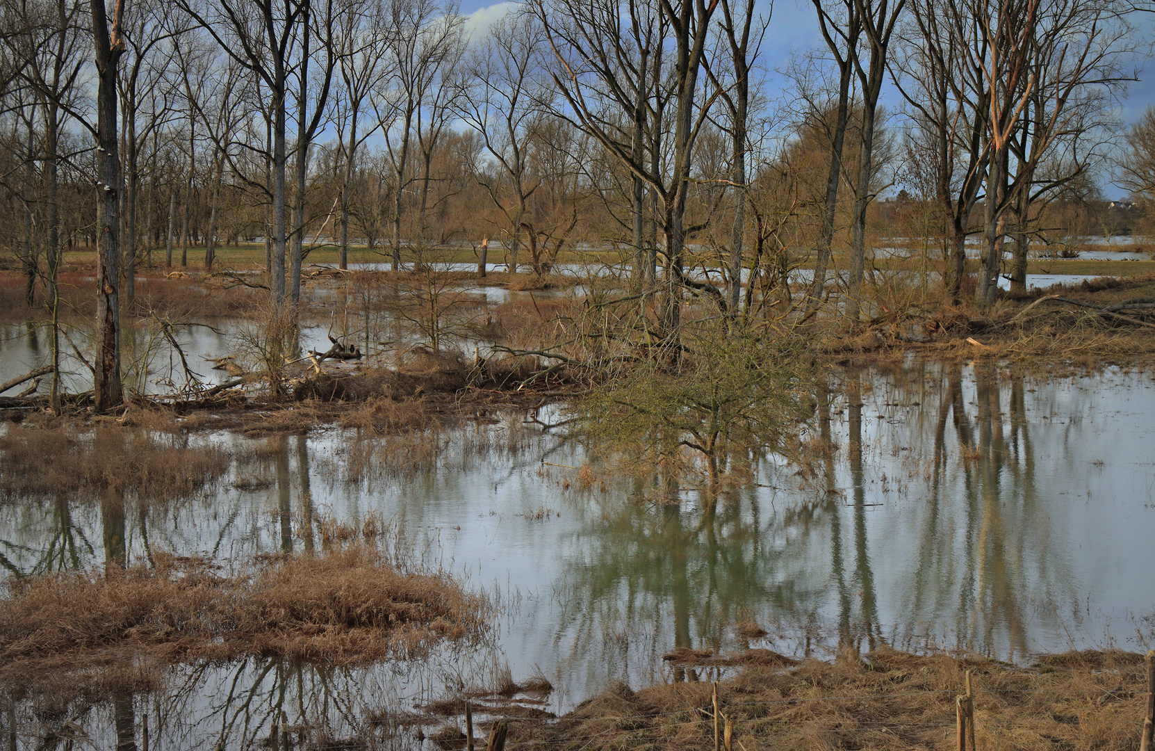 Hochwasser an der Sieg...(1)