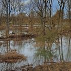 Hochwasser an der Sieg...(1)