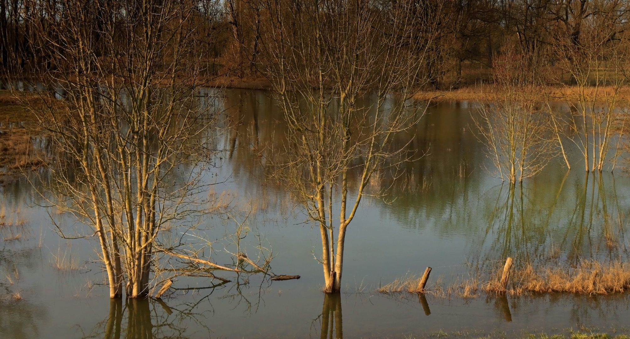 Hochwasser an der Sieg...(2)