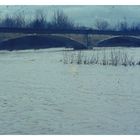 Hochwasser an der Thur, Februar 1966