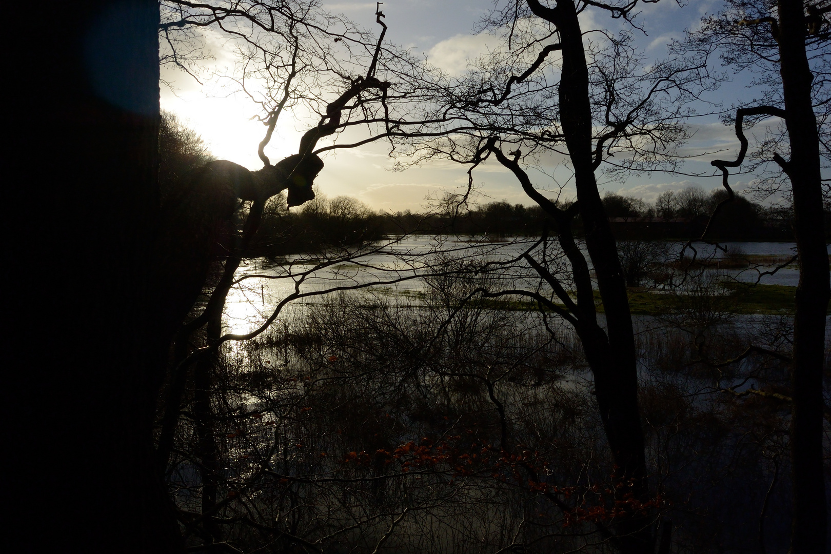 Hochwasser an der Treene