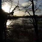 Hochwasser an der Treene