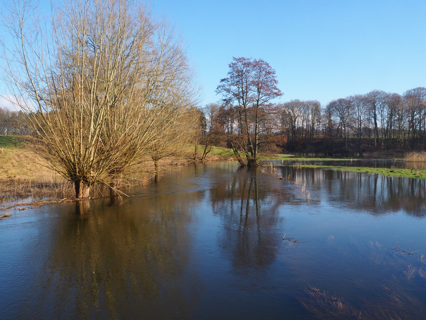 Hochwasser an der Warnow