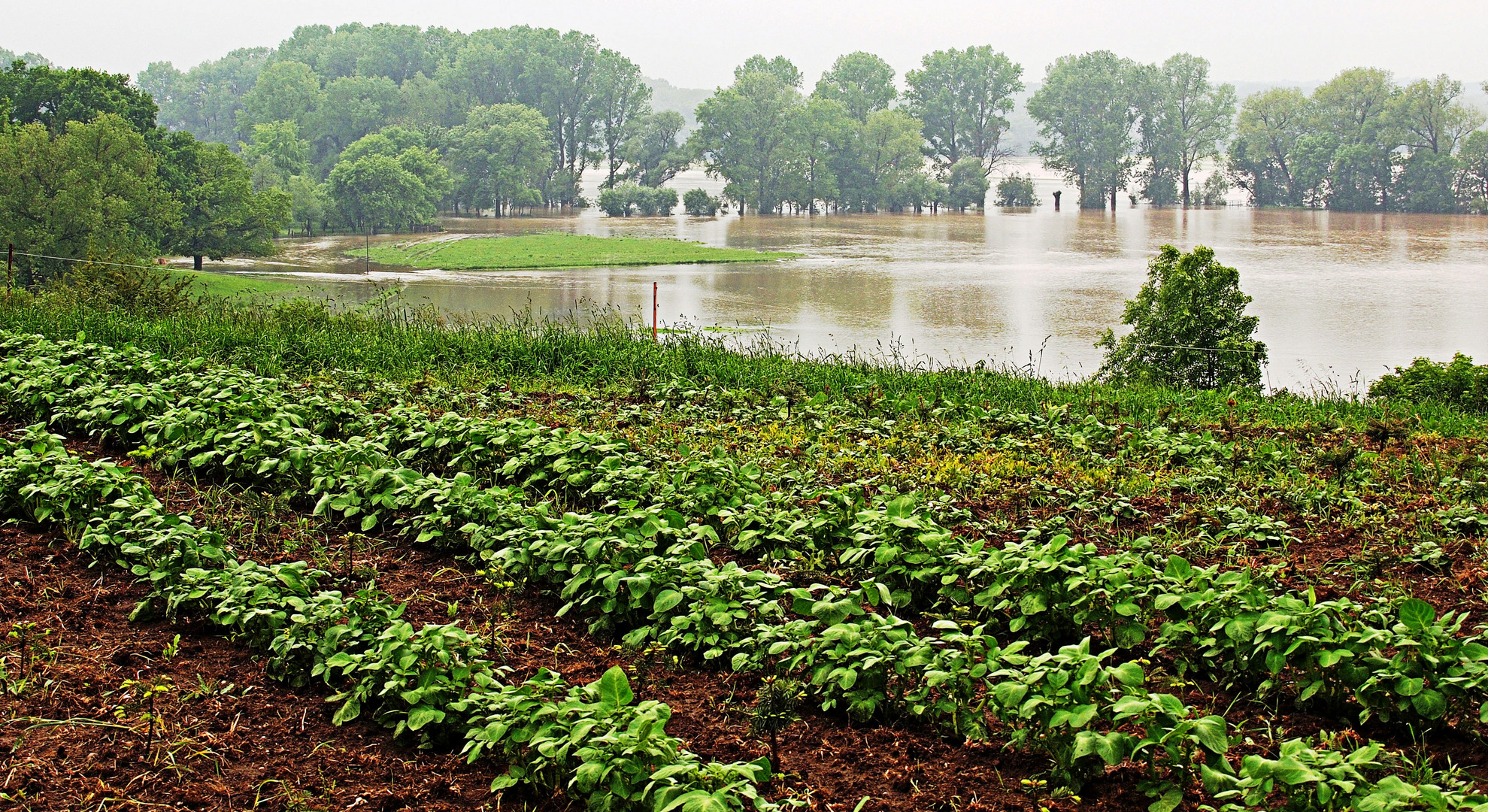 Hochwasser an der Weißen Elster