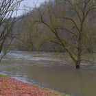 Hochwasser an der Werra in Meiningen