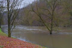 Hochwasser an der Werra in Meiningen