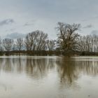 Hochwasser an der Werse