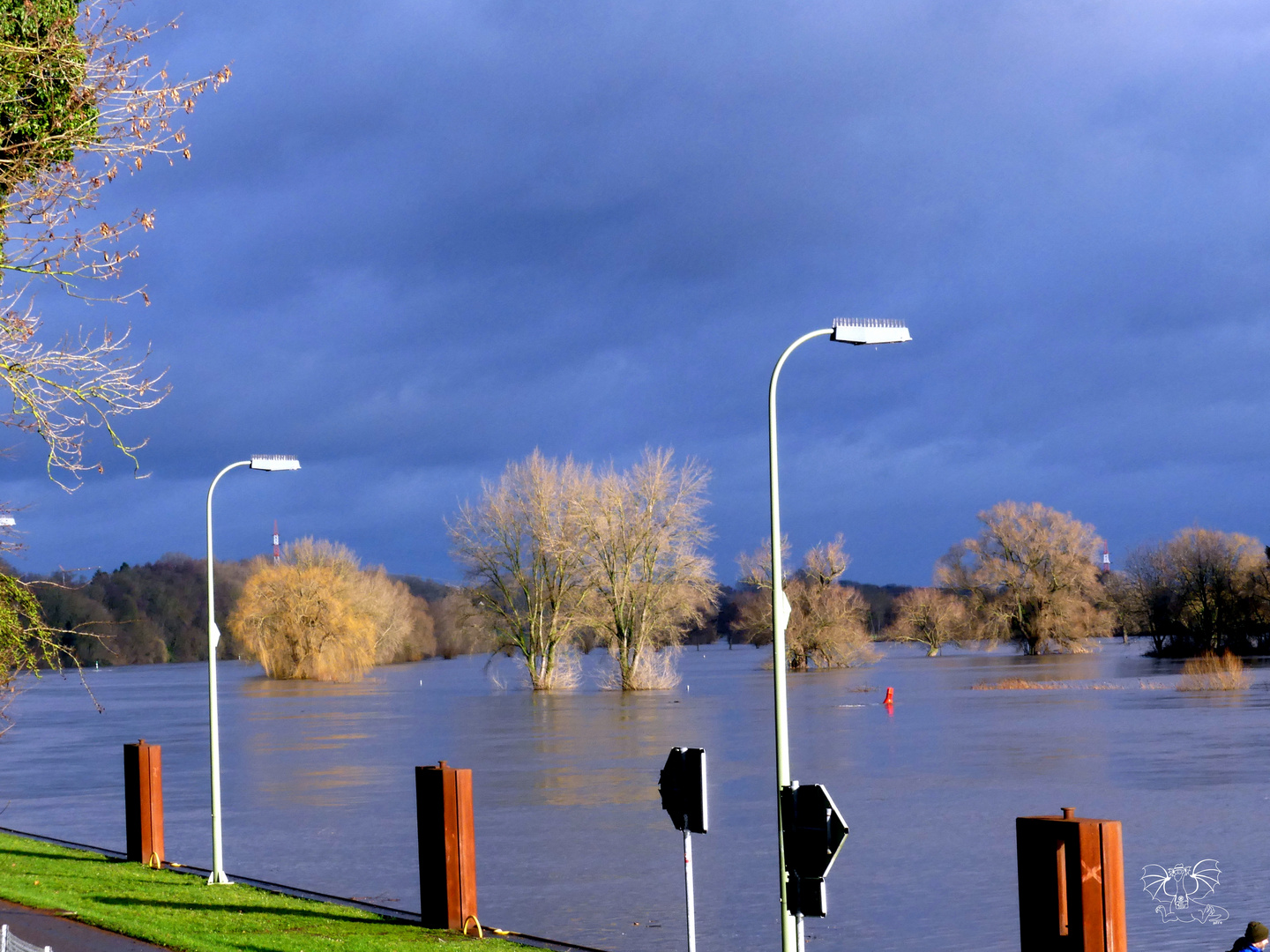 Hochwasser an der Weser 2023