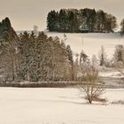 Hochwasser an der Wolfegger Ach