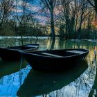 Hochwasser an Rhein und Sieg