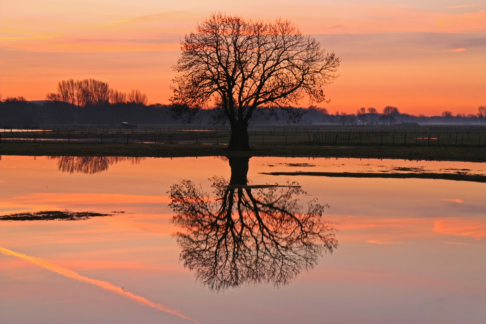 Hochwasser auf den Rurwiesen