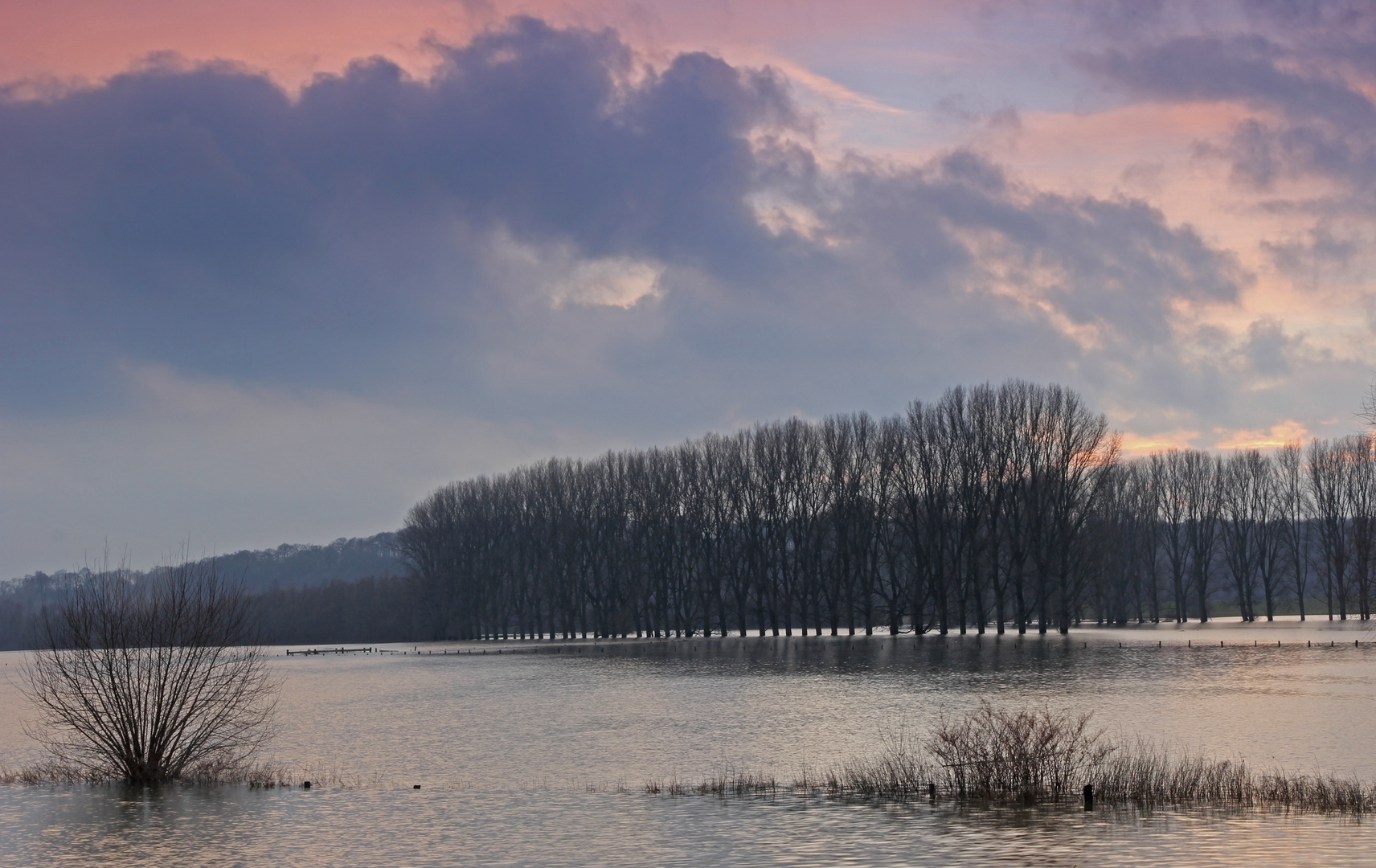 Hochwasser auf der Bislicher Insel (1)