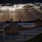 Hochwasser auf der Dove-Elbe