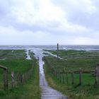 Hochwasser auf der Hamburger Hallig 1