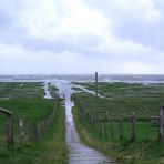 Hochwasser auf der Hamburger Hallig 1