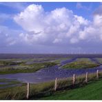 Hochwasser auf der Hamburger Hallig 2