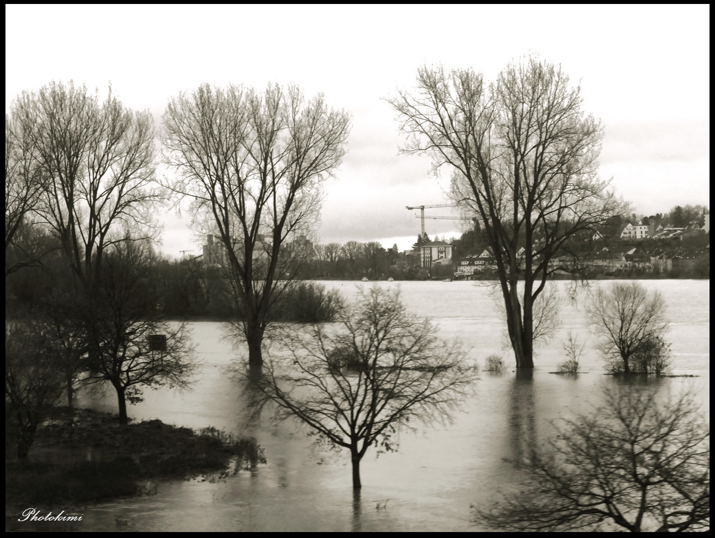 Hochwasser auf der Rhein Aue