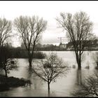 Hochwasser auf der Rhein Aue
