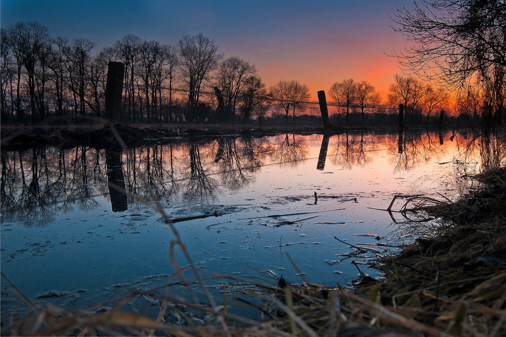 Hochwasser auf einer Weide