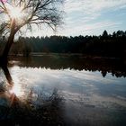 Hochwasser auf einer Wiese