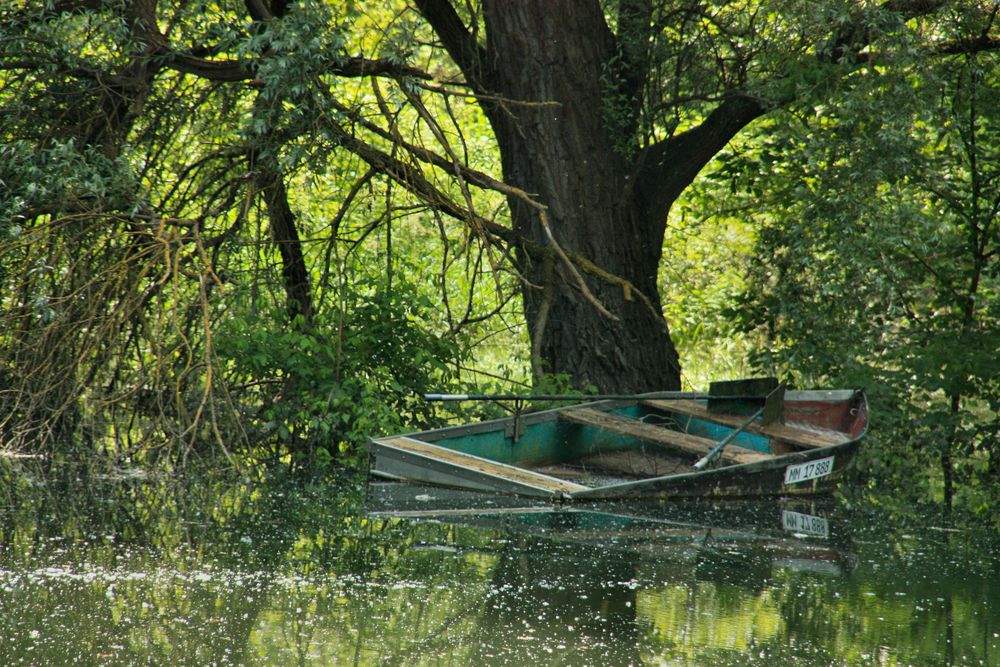 Hochwasser außen und innen