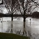 Hochwasser