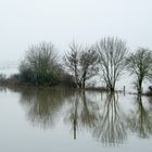 Hochwasser