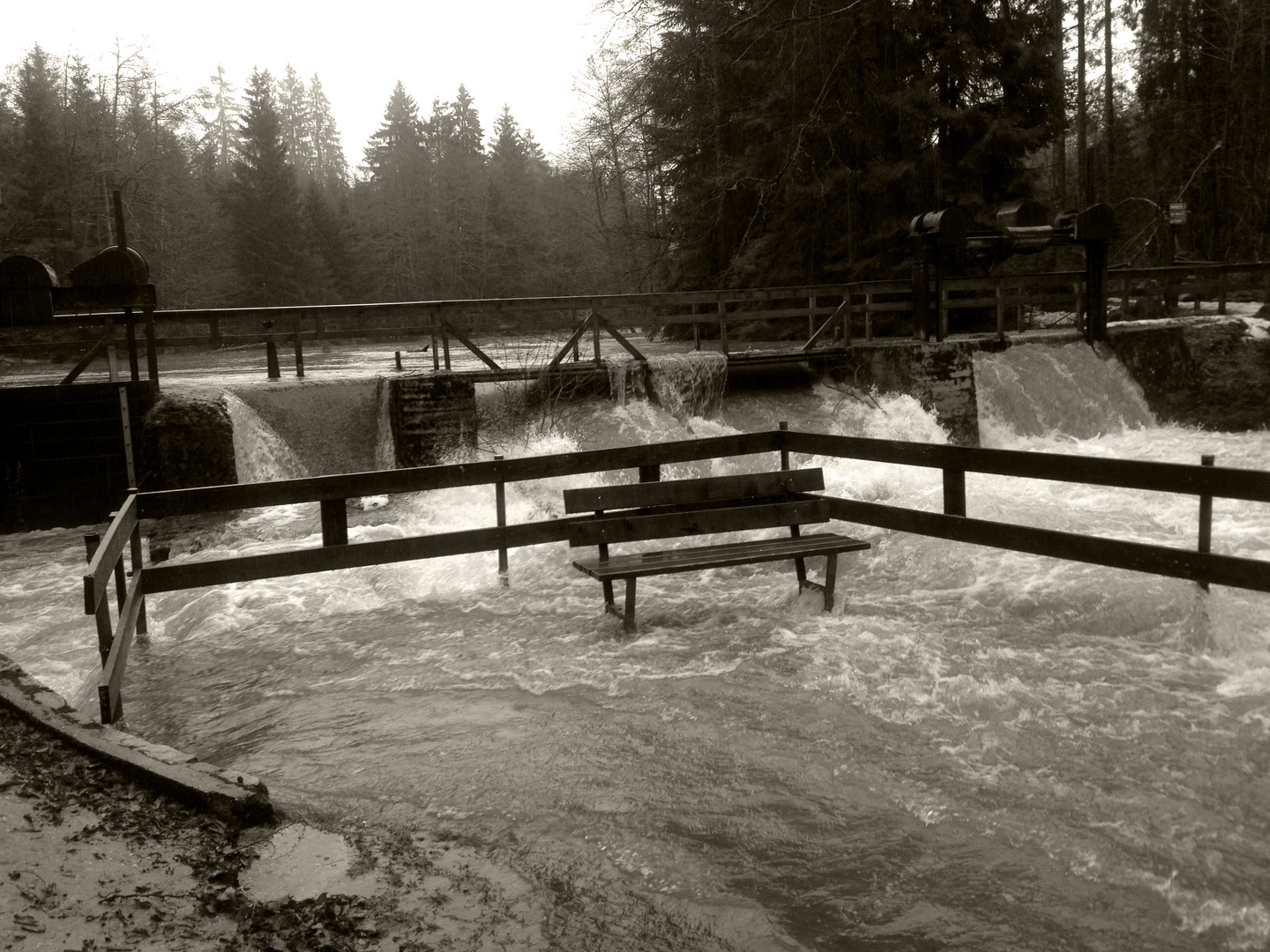 Hochwasser Bayr. Wald