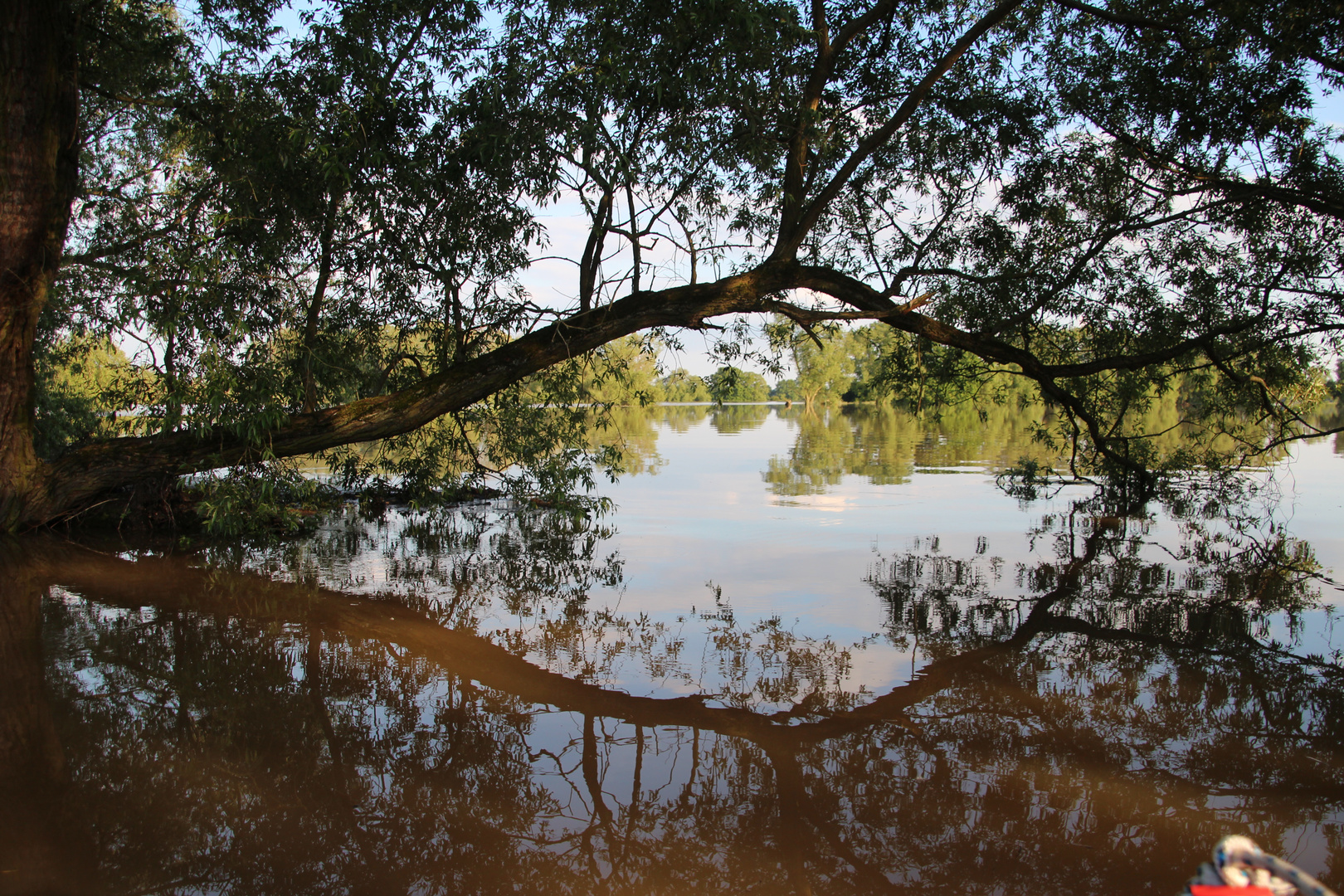 Hochwasser bei Coswig (Anhalt)